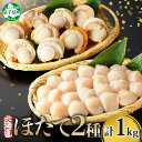 【ふるさと納税】 3247. ほたて 玉冷 500g ボイルほたて 500g 食べ比べ 計1kg セット 北海道産 帆立 ホタテ バラ凍結 大粒 貝柱 生ほたて...
