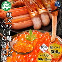 【ふるさと納税】 3090. 無地熨斗 紅ズワイ 蟹しゃぶ ビードロ 500g 生食 いくら醤油漬け 80g×2 計160g 紅ずわい ズワイガニ ずわいがに ...