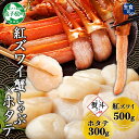 【ふるさと納税】3423. 無地熨斗 紅ズワイ 蟹しゃぶ ビードロ 500g ホタテ 300g 生食 紅ずわい ズワイガニ ずわいがに カニしゃぶ 蟹 カニ ほ...