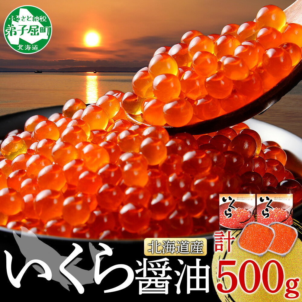 【ふるさと納税】406.いくら醤油 250g×2個 いくら醤油漬け イクラしょうゆ漬け いくら イクラ 海鮮 魚介 魚卵 送料無料 30000円 北海道 弟子屈町