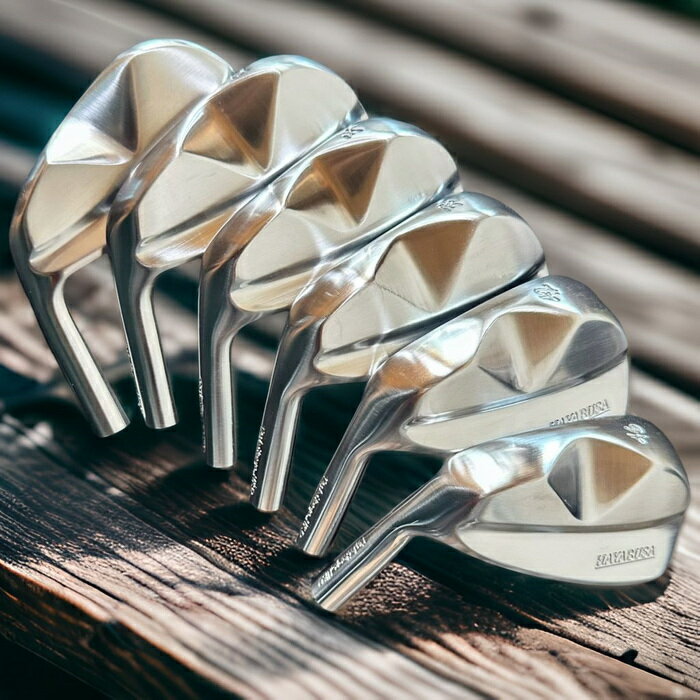 【ふるさと納税】3042.グッドデザイン賞受賞!!HAYABUSA Iron(レフティモデル5番〜PW、フジクラMCI50〜100 6本セット) ゴルフクラブ ...