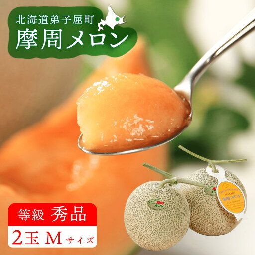 【ふるさと納税】☆先行予約☆3073.摩周メロン秀品2玉入り(1玉1.1kg以上) 8月上旬より順次発送 果物 9,000円 【ふるさと納税】☆先行予約☆3073.摩周メロン秀品2玉入り(1玉1.1kg以上) 8月上旬より順次発送 果物 9,000円