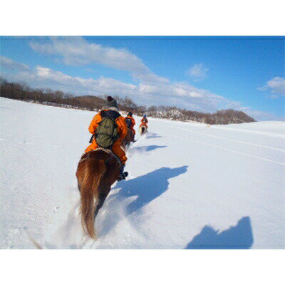 北海道鶴居村の画像2