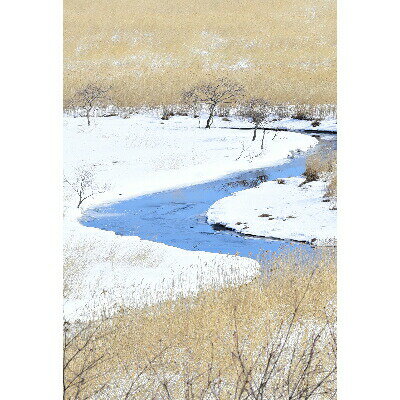 北海道鶴居村の画像3