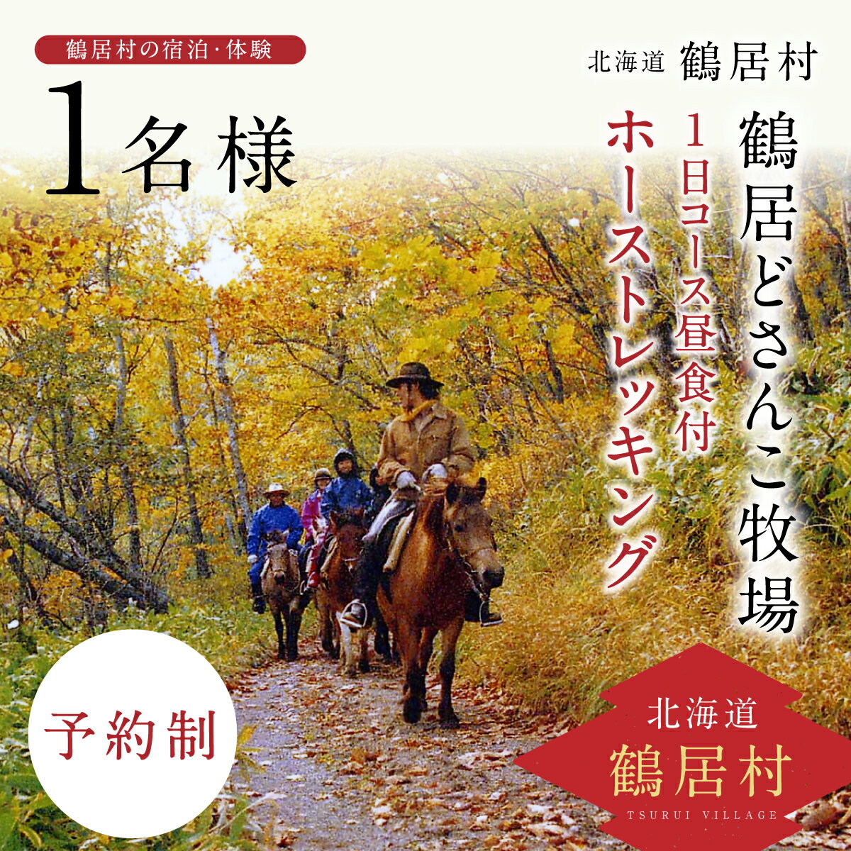 北海道 鶴居村 どさんこ牧場 ホーストレッキング 1日コース 昼食付 1名様 観光 トラベル ホテル 旅行 宿泊 アクティビティ