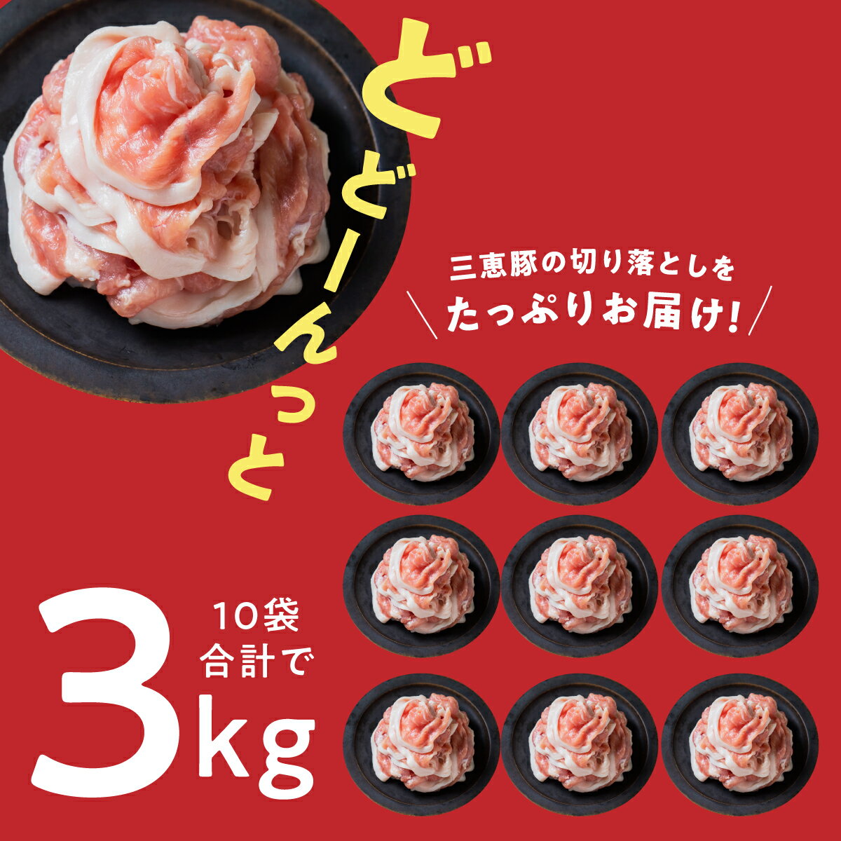 【ふるさと納税】＜選べる発送月＞ 豚肉 切り落し 北海道産 3kg盛り 300g×10パック 3キロ 北海道 鶴居村 国産 三恵豚 豚肉 ぶた肉 小分け 真空パック 使いやすい 使い勝手抜群 贈り物 プレゼント ギフト お歳暮 楽天スーパーセール お買い物マラソン