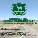 北海道鶴居村の画像3
