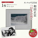 【ふるさと納税】タンチョウ 写真家 和田正宏 額付き オリジナルプリント「 幻冬の朝 」(サイン入り)