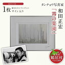 【ふるさと納税】タンチョウ 写真家 和田正宏 額付き オリジナルプリント「 霧の楽園 」 (サイン入り)