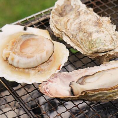 北海道鶴居村の画像3