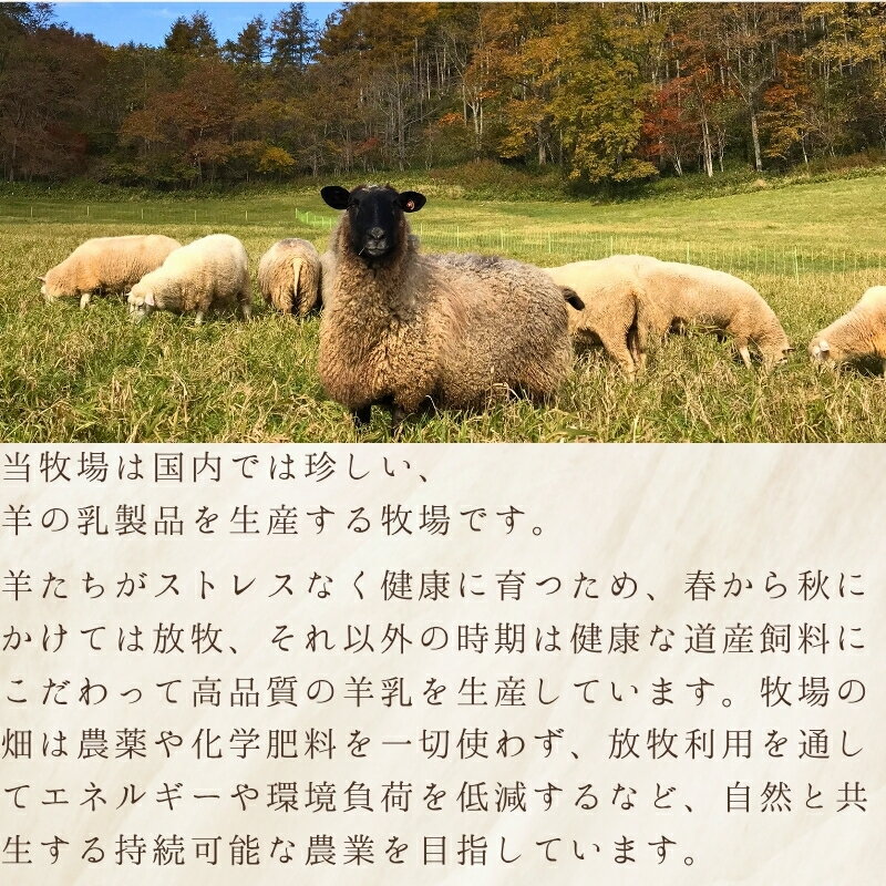thum2