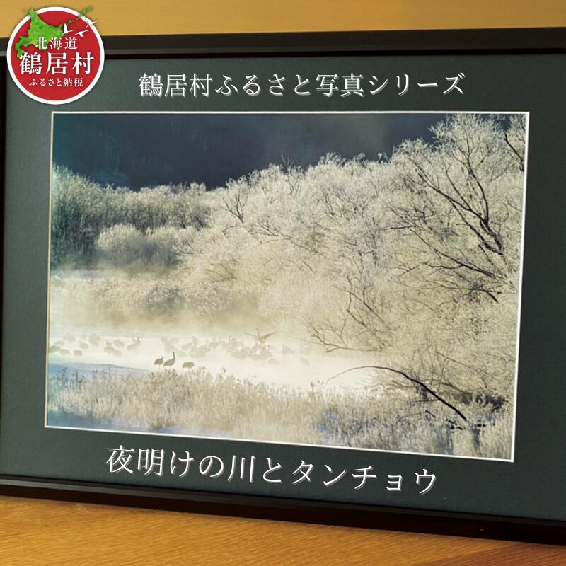 農場カメラマンが撮った鶴居村ふるさと写真シリーズ 【夜明けの川とタンチョウ】 北海道 鶴居村 自然 野生動物 フクロウ
