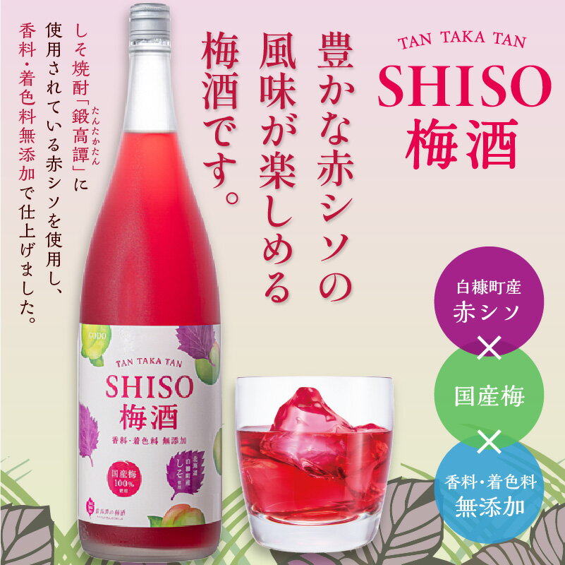 【ふるさと納税】しそ焼酎 鍛高譚（たんたかたん）の梅酒[1800ml]【6本セット】