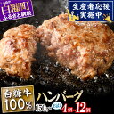 【ふるさと納税】 北海道産 牛肉100% ハンバーグ 肉汁 旨味ぎっしり 150g×4個~12個【内容量が選べる】 ふるさと納税 北海道 ハンバーグ 白糠牛100% 国産 大容量 小分け 簡単調理 惣菜 おかず お弁当 一人暮らし 牛肉 牛 肉 白糠町