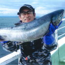 【ふるさと納税】チャーター船での北海道、秋鮭！イカ！の船釣り体験【12名様】