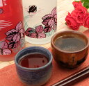 【ふるさと納税】鍛高譚の梅酒・透明な鍛高譚の梅酒[500ml...
