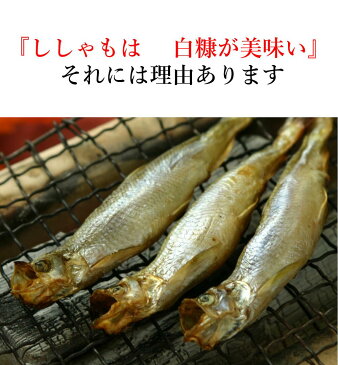 【ふるさと納税】しらぬか産ししゃも【オスメス30尾】 ふるさと納税 北海道 魚 グルメ 食べ物