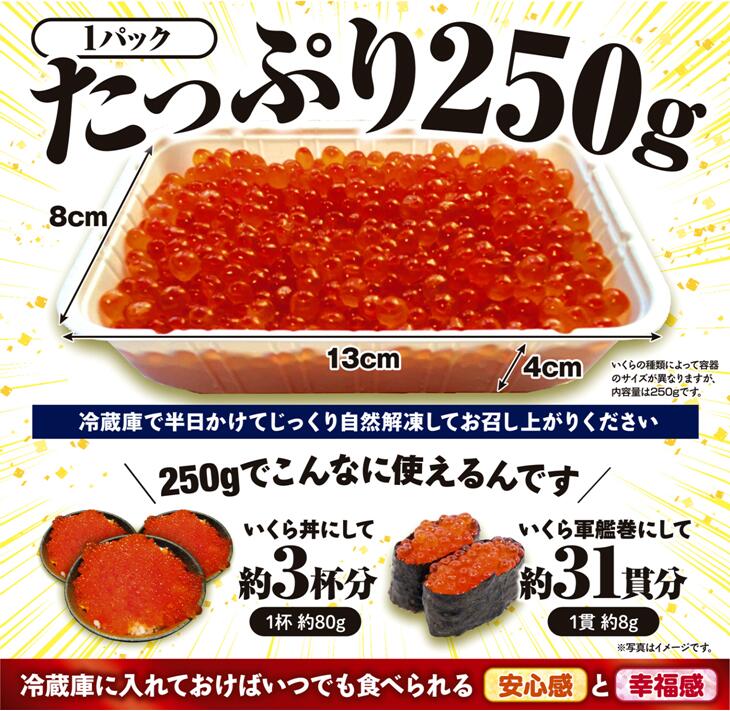 【ふるさと納税】【緊急支援品】いくら醤油漬（鮭卵）【500g（250g×2）】 ふるさと納税 いくら