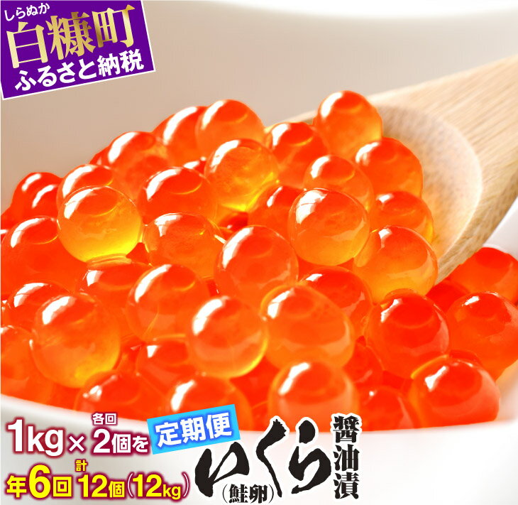 【ふるさと納税】【緊急支援品】年6回（各回2個）！いくら醤油漬（鮭卵）定期便 【1kg×2（250g×2×2×2）×6回（2月・4月・6月・8月・10月・12月）】（312,000円） 定期便 お楽しみ ふるさと納税 いくら 緊急支援