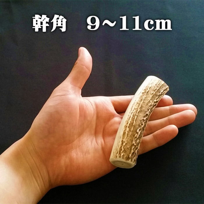 【ふるさと納税】えぞ鹿カット角【約10cm×3本】※トリーツ