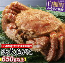 【ふるさと納税】しらぬか産 活大サイズ毛がに【650g以上】北海道 応援 ふるさと納税 海鮮
