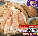 【ふるさと納税】しらぬか産 CAS冷凍大サイズ毛がに【650