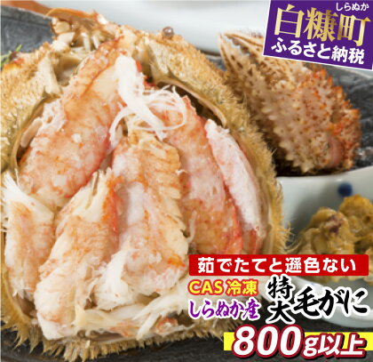 しらぬか産 CAS冷凍特大サイズ毛がに【800g以上】 ふるさと納税 海鮮 北海道