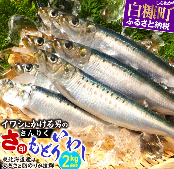 イワシ ふるさと納税の返礼品一覧 人気順 21年 ふるさと納税ガイド イワシ ふるさと納税の返礼品一覧 人気順 21年 ふるさと納税ガイド