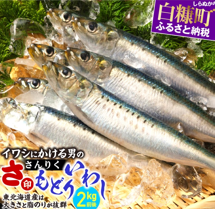 【ふるさと納税】さ印さんりく もどりいわし ふるさと納税 魚 【2kg前後】