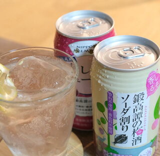 しそ焼酎 鍛高譚の梅酒ソーダ割と赤しそのチューハイ 飲み比べセット しそ焼酎 鍛高譚の梅酒ソーダ割と赤しそのチューハイ 飲み比べセット