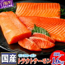 【ふるさと納税】高評価 4.75 ふるさと納税 魚 国産ワンフローズントラウトサーモン 800g / 訳あり増量品 1.2kg 海鮮 サーモン 鮭 刺身 さけ サケ 人気 ふるさと 海鮮食品 魚介類 魚介 北海道 白糠町
