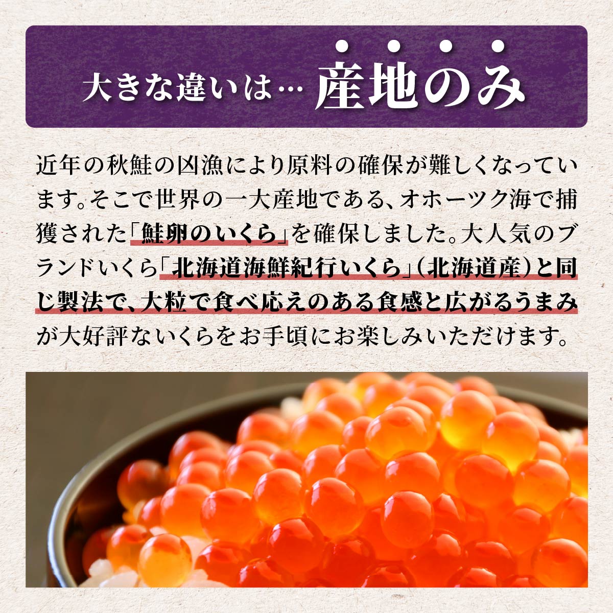 【ふるさと納税】高評価★4.74 年4回お届け！いくら醤油漬（鮭卵）定期便 【450g（225g×2）×4回（1月・4月・7月・10月）】 ふるさと納税 海鮮 いくらの町 白糠町 イクラ 鮭 小分け 鮭いくら 人気 ふるさと 北海道 送料無料 お楽しみ