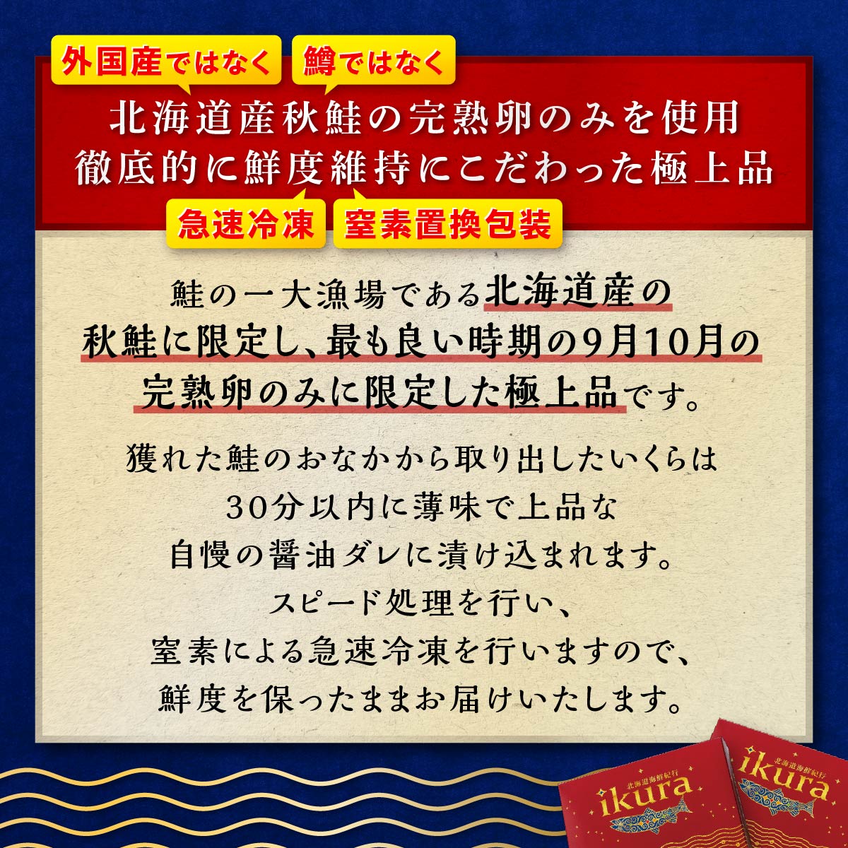 【ふるさと納税】高評価★4.79 北海道海鮮紀行いくら (醤油味) 【500g（250g×2）】 いくら 北海道産 国産 いくらの町 白糠町 イクラ 鮭 秋鮭 小分け 鮭いくら 人気 ふるさと 魚卵 いくら丼 魚 魚介 魚介類 ふるさと納税 北海道 送料無料 ランキング 入賞多数