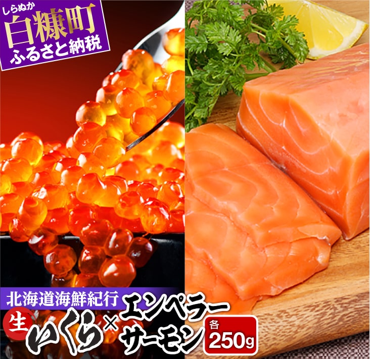 【ふるさと納税】北海道海鮮紀行生いくらとエンペラーサーモンセット【各250g】のサムネイル