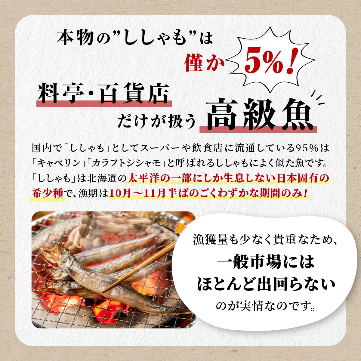 【ふるさと納税】 しらぬか産 ししゃも10尾（オス・メス各5尾） ふるさと納税 魚 北海道産 国産 魚介 グルメ 食べ物 北海道 白糠町