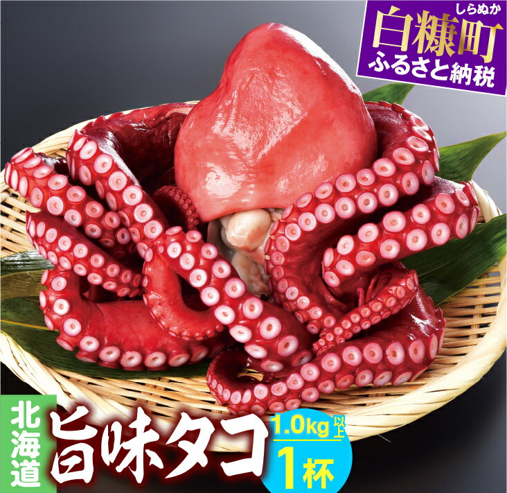 記事番号:32832/アイテムID:25807の画像