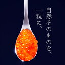 北海道白糠町の画像3