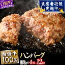 【ふるさと納税】 北海道産 牛肉100% ハンバーグ 肉汁 旨味ぎっしり 150g×4個〜12個【内容量が選べる】 ふるさと納税 北海道 ハンバーグ 白糠牛10...