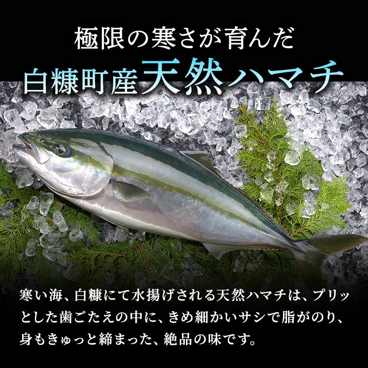 【ふるさと納税】天然 ハマチ 厳選3種 ふるさと納税 北海道 漬け丼の素 セット300g 600g 900g 3種セット 海鮮 海鮮丼 北海道産 ぶり 天然 鰤 はまち 国産 国産ハマチ 天然ハマチ ハマチ漬け 漬け丼 惣菜 冷凍 小分け ハマチ刺身 はまち刺身 お刺身 さしみ お取り寄せ 白糠町