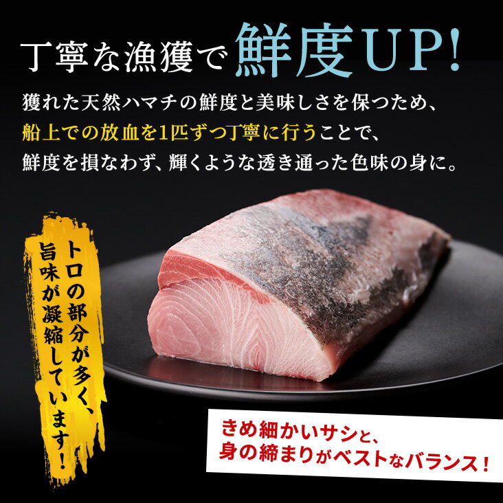【ふるさと納税】天然 ハマチ 厳選3種 ふるさと納税 北海道 漬け丼の素 セット300g 600g 900g 3種セット 海鮮 海鮮丼 北海道産 ぶり 天然 鰤 はまち 国産 国産ハマチ 天然ハマチ ハマチ漬け 漬け丼 惣菜 冷凍 小分け ハマチ刺身 はまち刺身 お刺身 さしみ お取り寄せ 白糠町