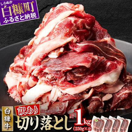 【訳あり】北海道産 赤身の旨味がギュッと詰まった 白糠牛 切り落とし【1kg】 250g×4パック 小分け 惣菜 牛肉 切り落とし 赤身 牛 国産牛 お肉 切落し 大容量 冷凍 ふるさと納税 北海道 訳あり わけあり ふるさと ランキング 人気 白糠町