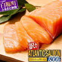 【ふるさと納税】訳あり アトランティックサーモン 800g ふるさと納税 魚