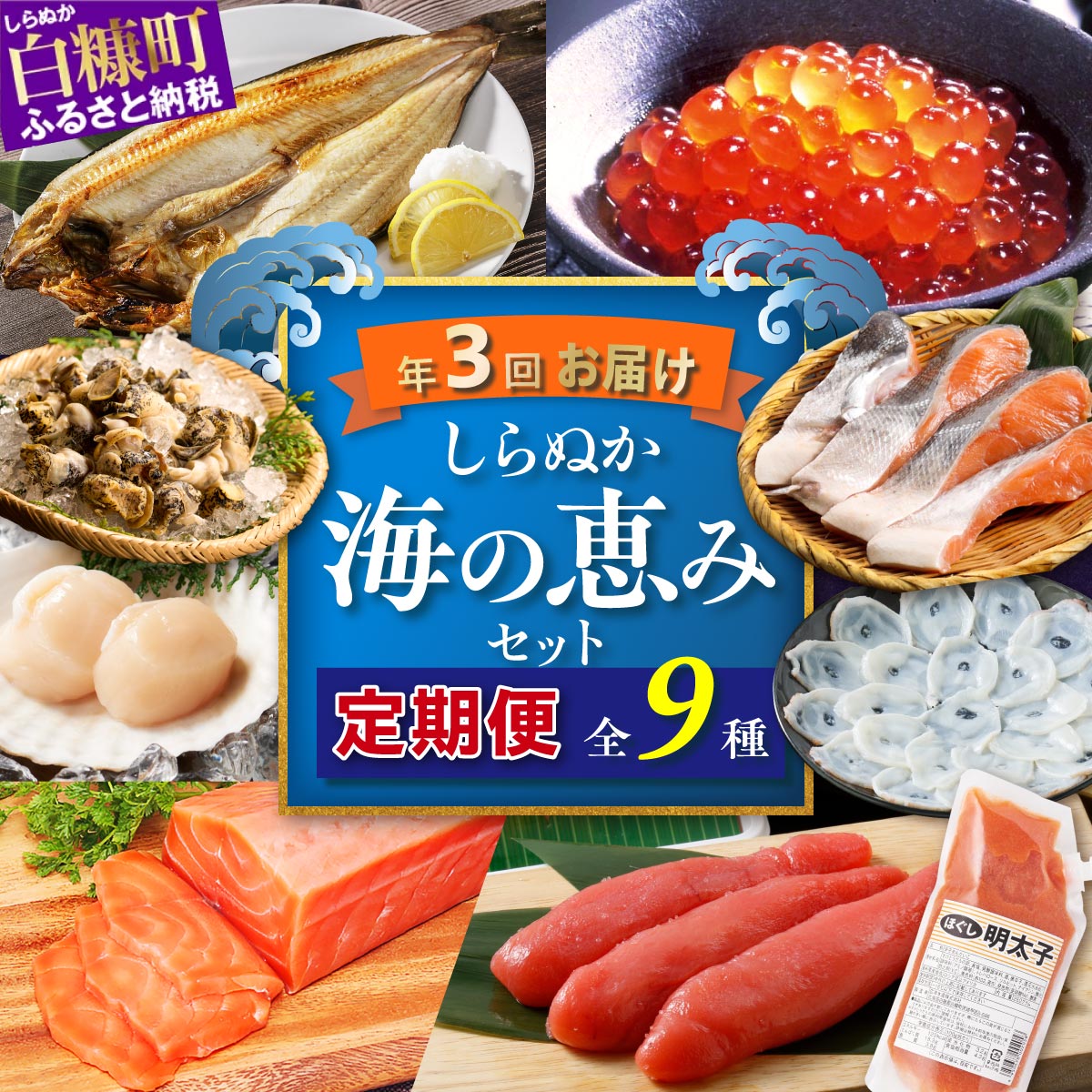 【ふるさと納税】【定期便】 高評価 5.00 ふるさと納税 海鮮 年3回お届け しらぬか海の恵みセット'23-'24 (年3回定期便) 魚 頒布会 詰合せ 海鮮食品 魚介類 魚介 人気 北海道 白糠町