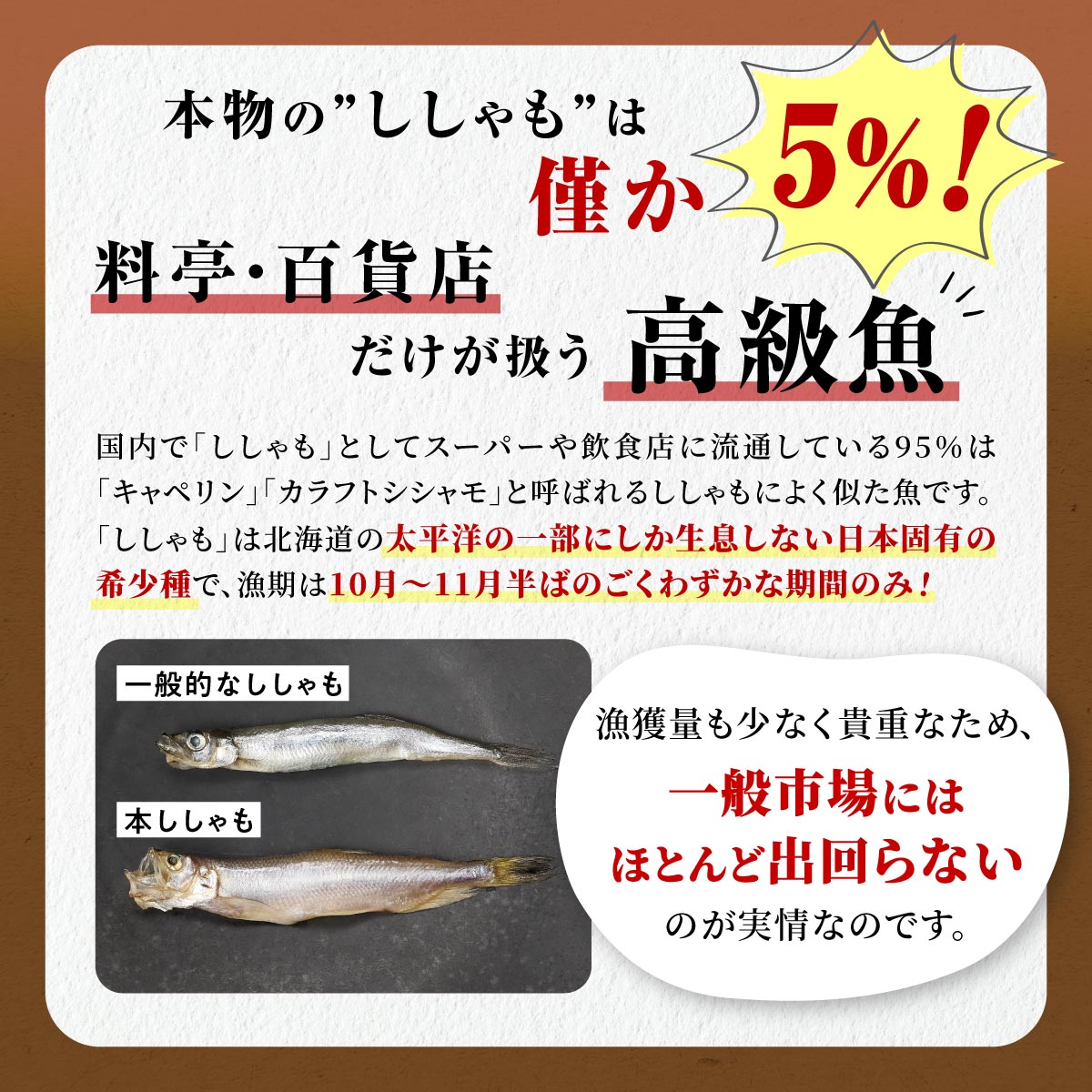 【ふるさと納税】しらぬか産 本ししゃも 【数量限定】【計10尾～60尾】 メスはプチプチ オスは濃厚 とっても美味しい! ふるさと納税 ししゃも 北海道産 国産 魚 魚介 グルメ 食べ物 人気 ランキング 北海道 白糠町