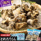 【ふるさと納税】 高評価 4.63 白糠煮つぶ (とれたてくん) 1kg (500g×2) ふるさと納税 つぶ貝 北海道 北海道産 ツブ貝 国産 アヒージョ 無添加 貝 刺身 海鮮 海鮮食品 魚介類 魚介 人気 白糠町