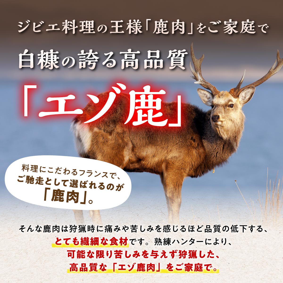 【ふるさと納税】 高評価 4.60 鹿肉セット 3種類 計5パック ふるさと納税 北海道 グルメ 食べ物 鹿肉 エゾシカ肉 えぞ鹿肉 シカ肉 ジビエ 高タンパク 低カロリー 低脂肪 ヘルシーミート ステーキ 肩肉 ロース 赤み 新鮮 肉 お肉 山の幸 人気 白糠町