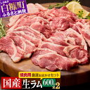 【ふるさと納税】高評価 5.00 ラム肉焼肉セットA 1.2