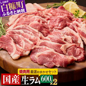 【ふるさと納税】高評価 5.00 ラム肉焼肉セットA 1.2kg (600g×2パック) オリジナルスパイス10g付き ふるさと納税 北海道 北海道産 国産 ラム肉 生ラム肉 ラム 羊肉 焼肉 焼き肉 ジンギスカン バーベキュー 冷蔵 グルメ 食べ物 白糠町