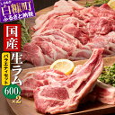 【ふるさと納税】ラム肉焼肉ステーキセットA 1.2kg (6