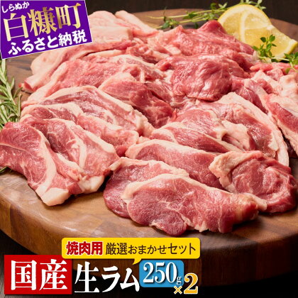 焼肉用ラム肉スライス 500g (250g×2パック) オリジナルスパイス10g付き 北海道産 国産 ラム肉 生ラム肉 ラム 羊肉 焼肉 焼き肉 ジンギスカン バーベキュー 冷蔵 グルメ 食べ物 ふるさと納税 北海道 白糠町